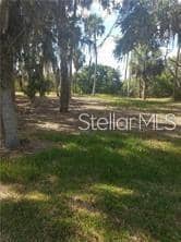 5353 TROPICAL WOODS CT photo