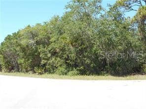 KUMQUAT AVE photo