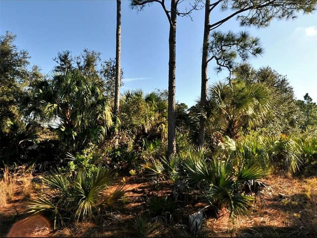 Lot 3 HAMBURG DR photo