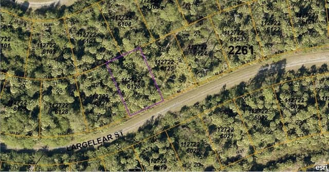 1127226126 LARGELEAF ST photo