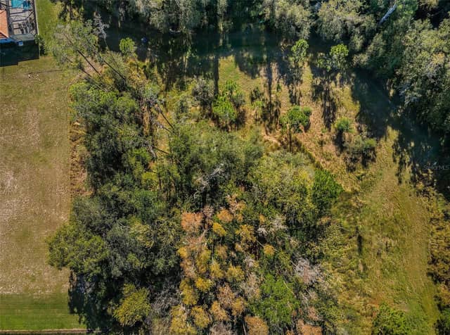 4445 LANSBROOK PKWY photo