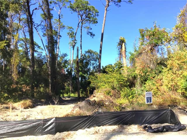 1299 ALMARIA CT photo