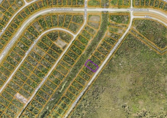 OLEANDER DR photo