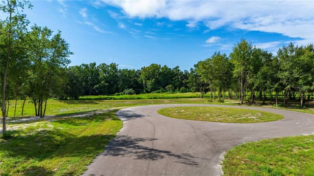 14770 CRIMSON OAKS TRL photo