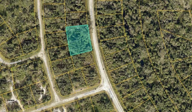 0969062306 DELMAR DR photo