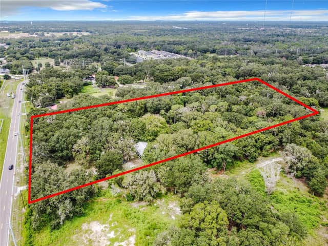 16206 BOYETTE RD photo