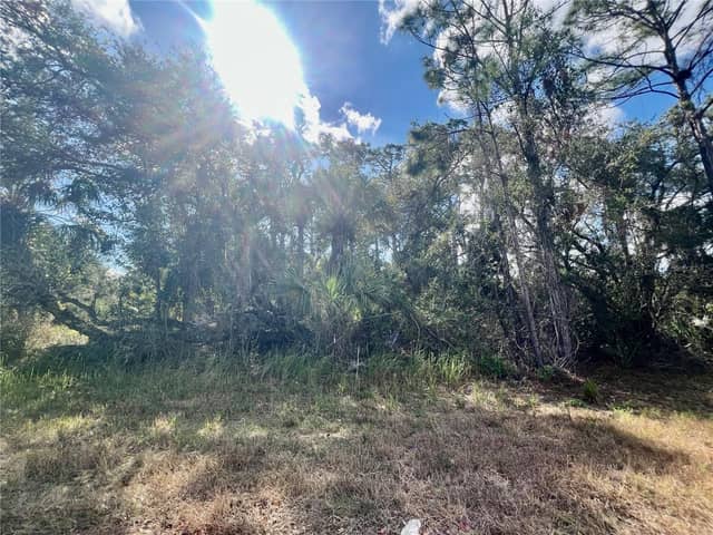 Lot 7 ABBEVILLE RD photo