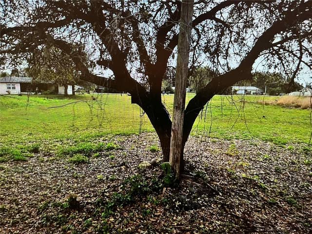 LOT 62&63 HERNANDO RD photo