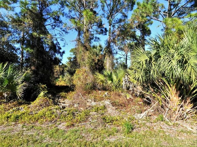 LOT 24 RENFRO AVE photo