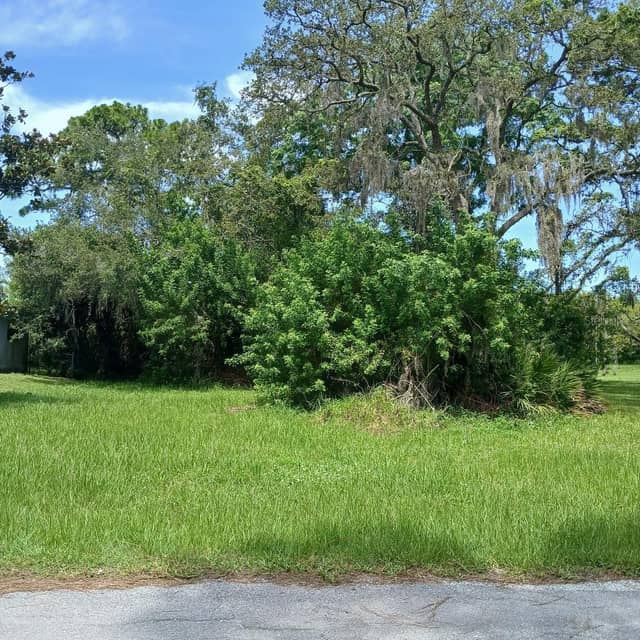 LYLE CIR photo