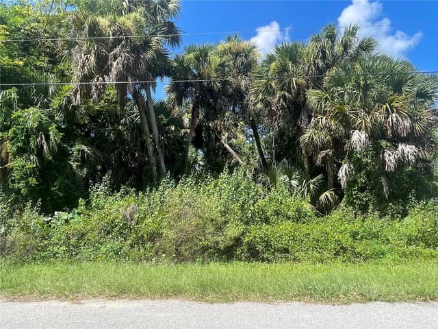 SNYDER   (LOT 6 BLOCK 1019) ST photo