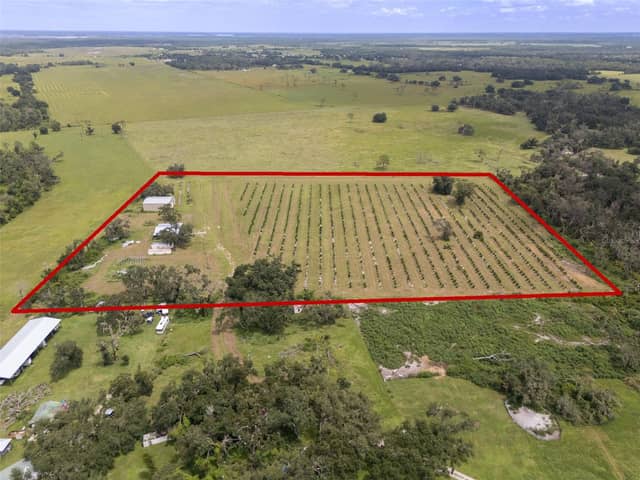 32715 SINGLETARY RD photo