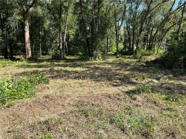 0 SR 575 photo