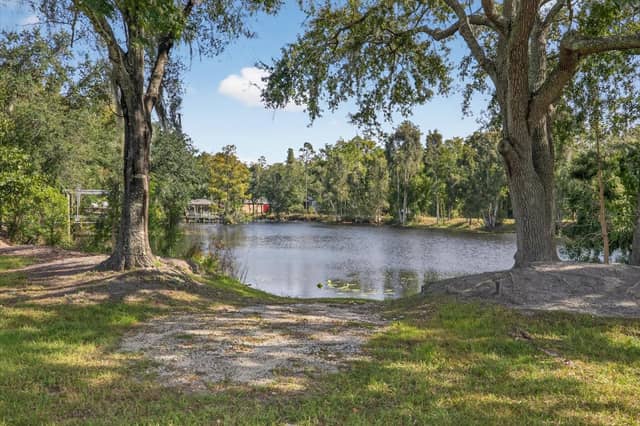 3926 COVE LAKE PL photo