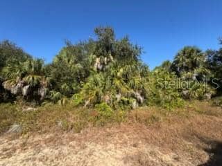 LOT 4 MATTOX CIR photo