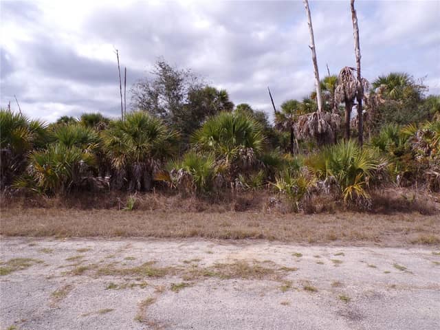 COPERNICUS RD photo