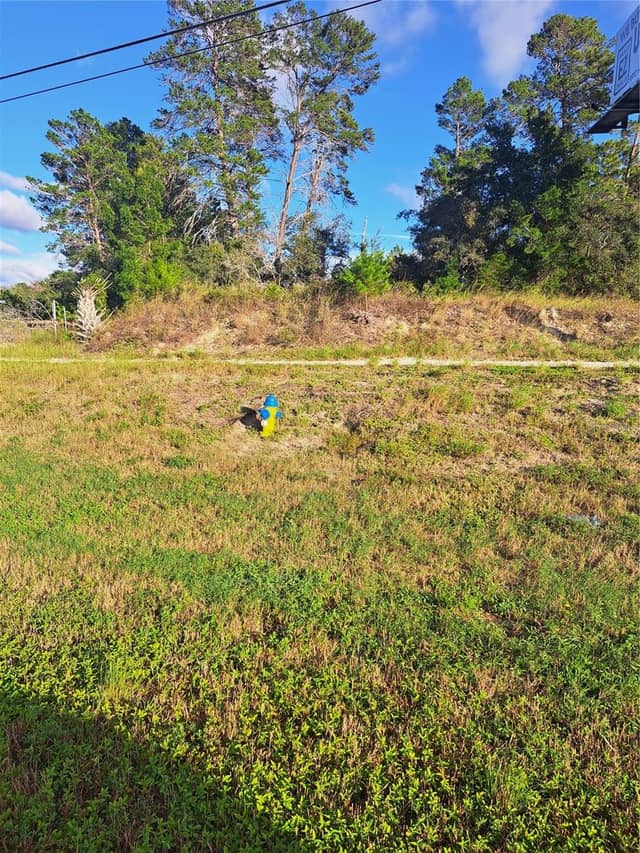 US 19 HWY photo