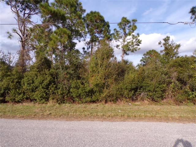 MEROLLA RD photo