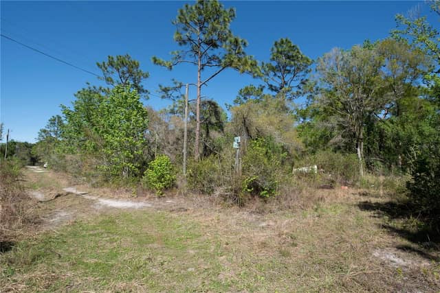 12934 TANNER RD photo