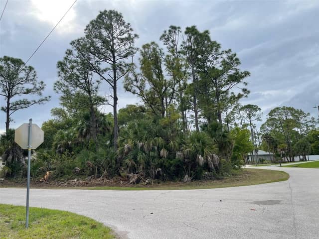 Lot 15 ANANAS RD photo