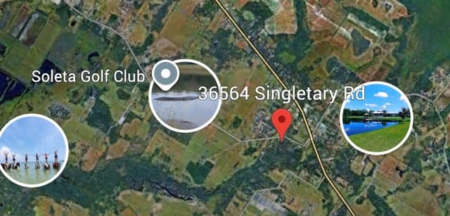 36564 SINGLETARY RD photo