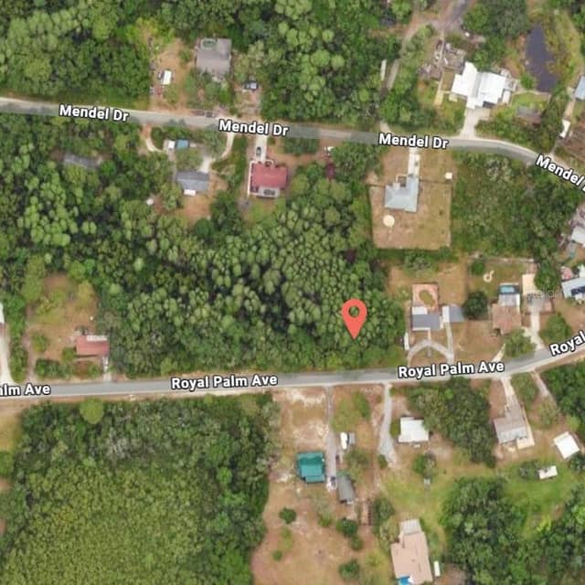 9805 ROYAL PALM AVE photo