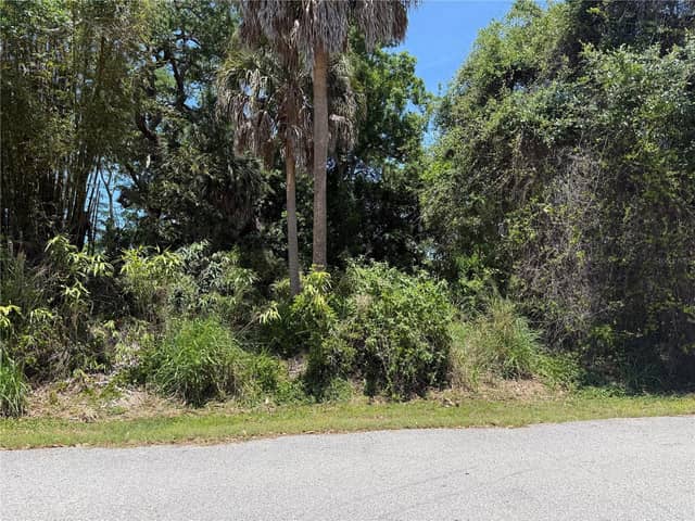 BURKE RD photo