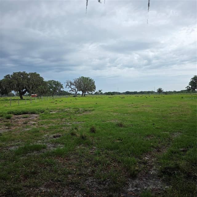 VERNON DAIRY photo