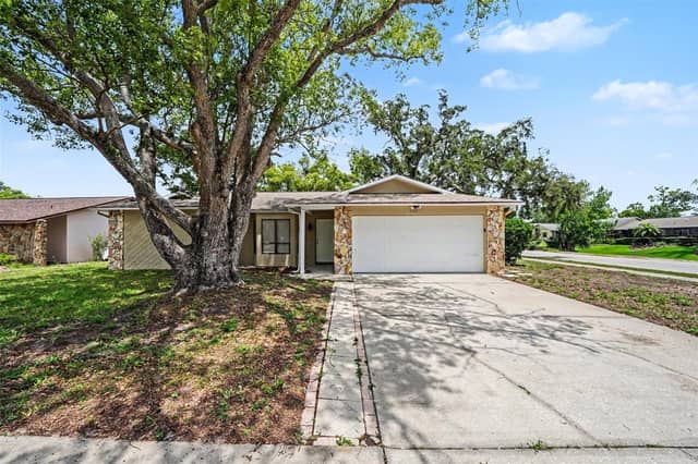 11424 SCALLOP DR photo