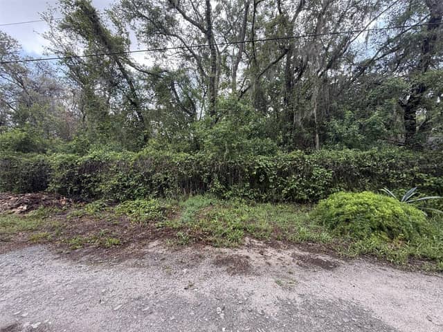 10934 LEON ST photo