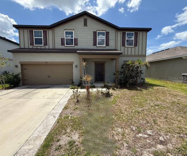 462 SPOTTED SLIPPER PL photo