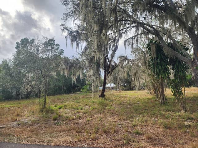 1409 WILKINSON DR photo