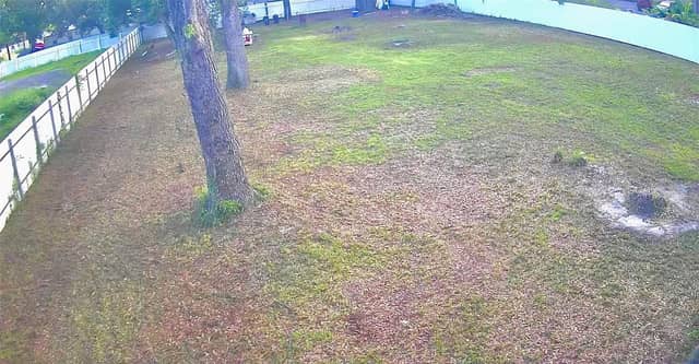 11310 BRIGHTRIDGE DR photo
