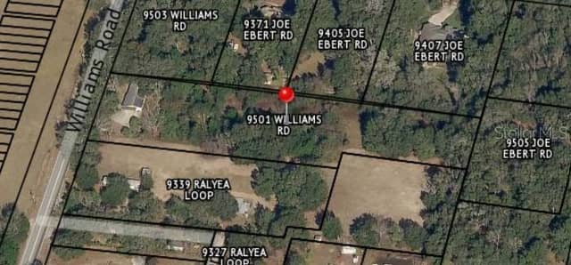 9501 WILLIAMS RD photo