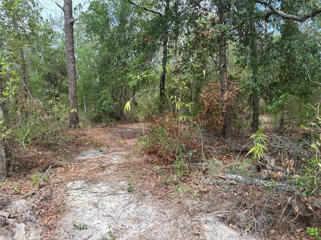 18379 THOMAS BLVD photo