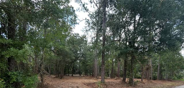 WESTPOINT DR photo