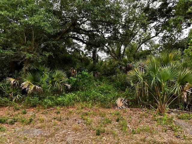 Lot 18 DUNSMUIR RD photo