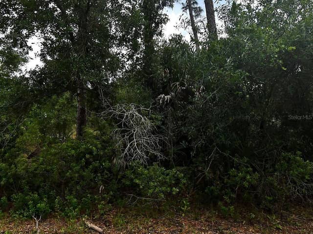 LOFFREDA AVE photo
