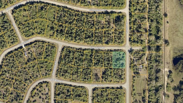 FIVELEAF RD photo