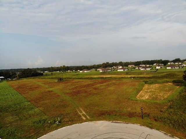 10016 WHITE EGRET DR photo