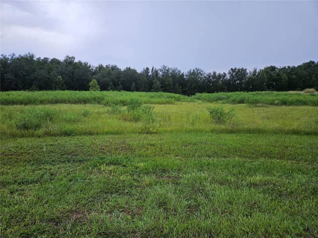 8801 VALERIE CT photo