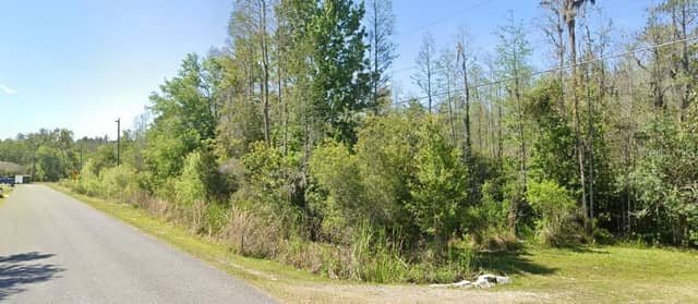 26611 C C LN photo