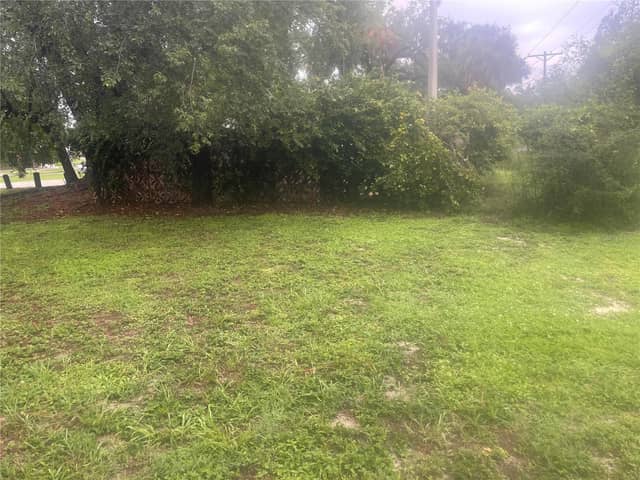 33855 MANDRAKE RD photo