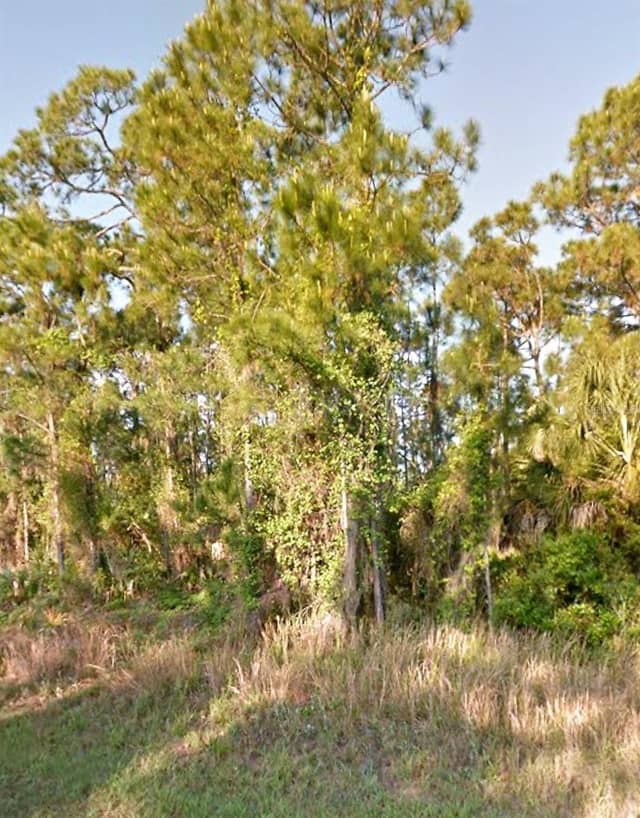 OLD WINE RD photo