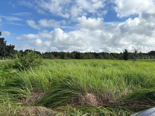 WALTER HUNTER RD #Lot 1 photo