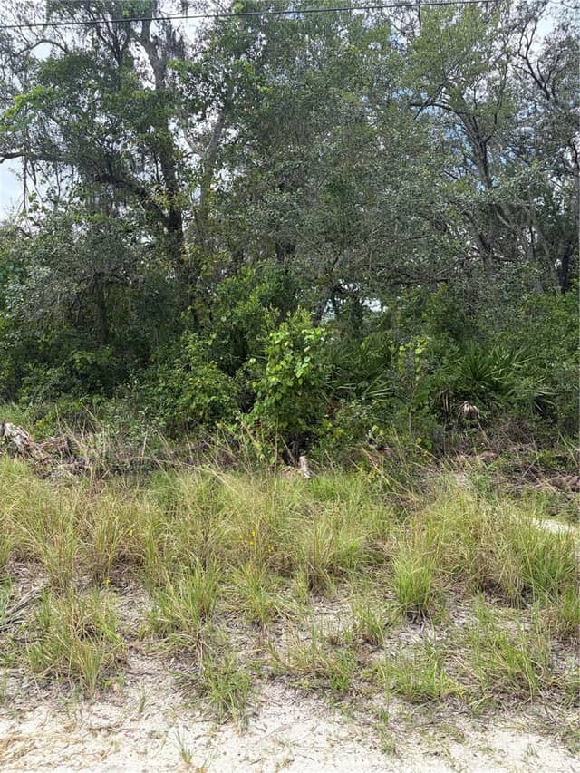 10333 GILMER photo