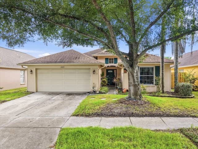 10271 OASIS PALM DR photo