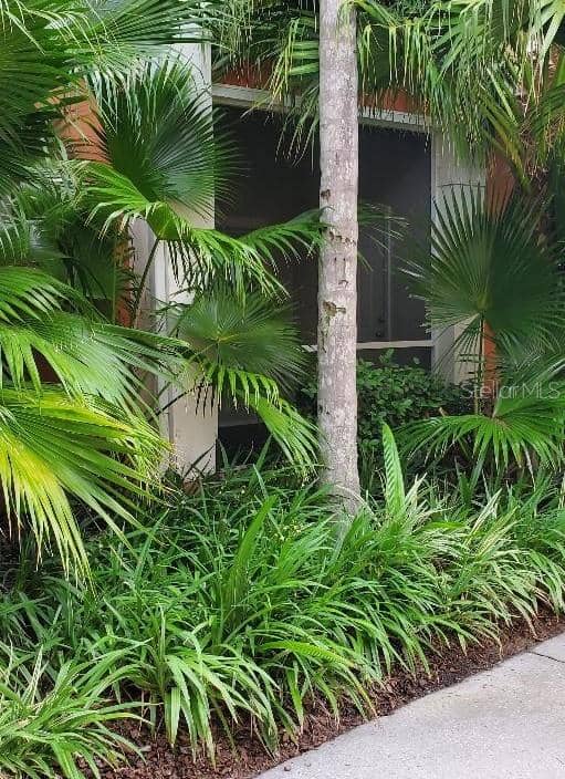 4207 S DALE MABRY HWY S #5109 photo