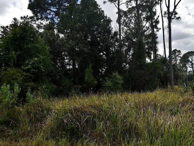 STEGALE RD photo