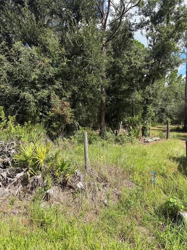 5020 WAUCHULA RD photo
